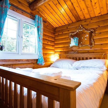 Woodpecker 3 Bedroom Trawsfyndd Holiday Village - Hosted By Seren Property Trawsfynydd Exterior foto